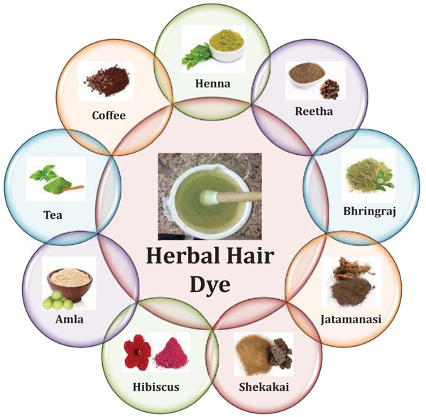 Synthesis and Evaluation of Herbal Based Hair Dye